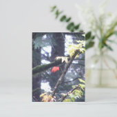 Ben zelf briefkaart (Staand voorkant)