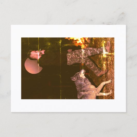 Benaderbare Wolf Briefkaart (Voorkant)
