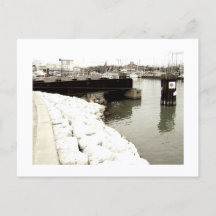 Benaderbare Wolf Post Card Print