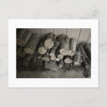 Benaderbare Wolf Post Card Print