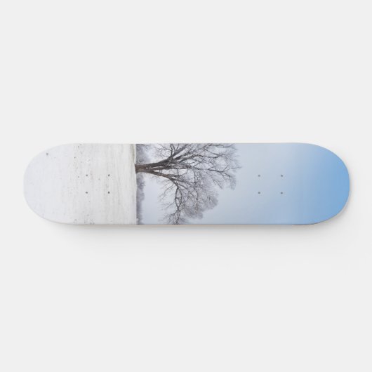 Benadrukte wintereik skateboard (Horizontaal)