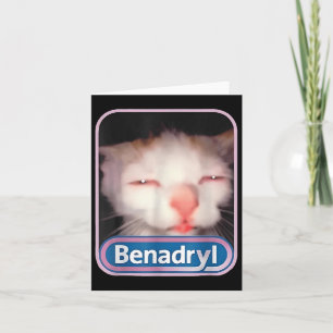 Benadryl Meme Cat Funny Cat Lovers Cat Mom Cat Dad Kaart