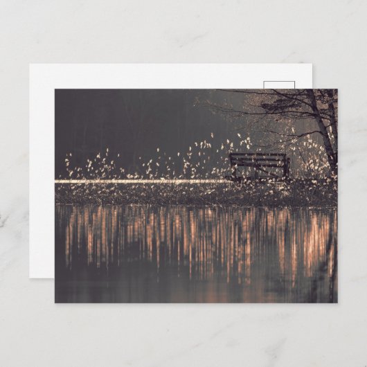 Bench bij het meer in het gouden lichte briefkaart (Voorkant / Achterkant)
