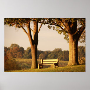 Bench bij zonsondergang poster