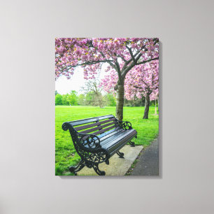 Bench en kersenbloesem uitzicht canvas print