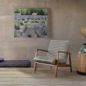 Bench in het midden van een lavenderveld wandkleed