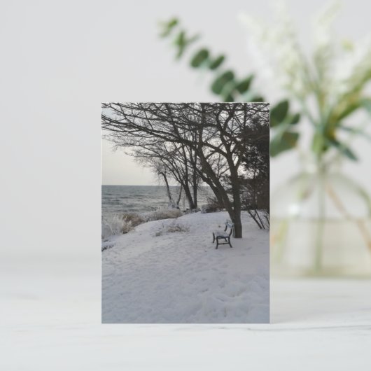 Bench in Winter Snow Briefkaart (Staand voorkant)