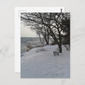 Bench in Winter Snow Briefkaart (Voorkant / Achterkant)