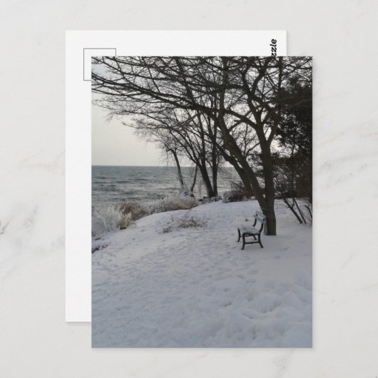 Bench in Winter Snow Briefkaart (Voorkant / Achterkant)