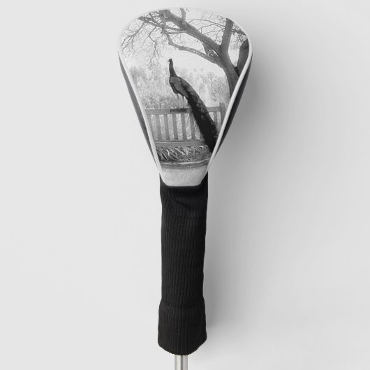 Bench Peacock Golfheadcover (Voorkant)