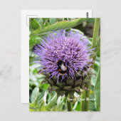 BENEDEN BRIEFKAART (Voorkant / Achterkant)