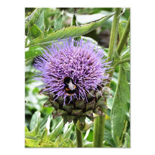 BENEDEN FOTO AFDRUK (Voorkant)