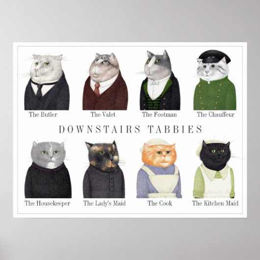 BENEDEN KATTEN Poster (Voorkant)