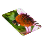 BENEDEN MAGNEET (Rechterzijde)