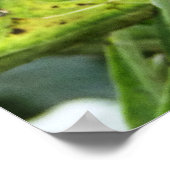 BENEDEN POSTER (Hoek)