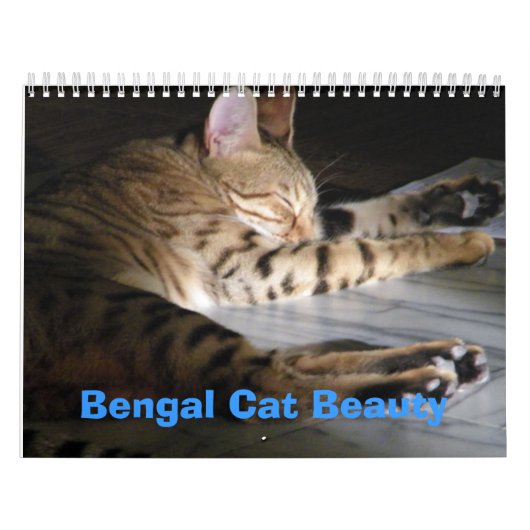 Bengaal Cat Beauty Kalender (Hoes)
