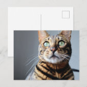 Bengaal Cat-Briefkaart Briefkaart (Voorkant / Achterkant)