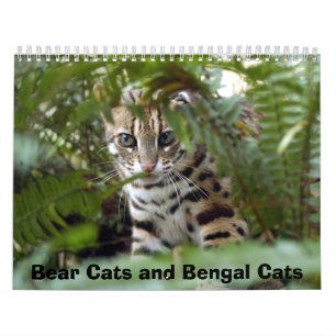 Bengaal kat 022, Beren katten en bengachtige katte Kalender