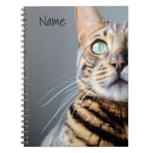Bengaal kat-laptop notitieboek