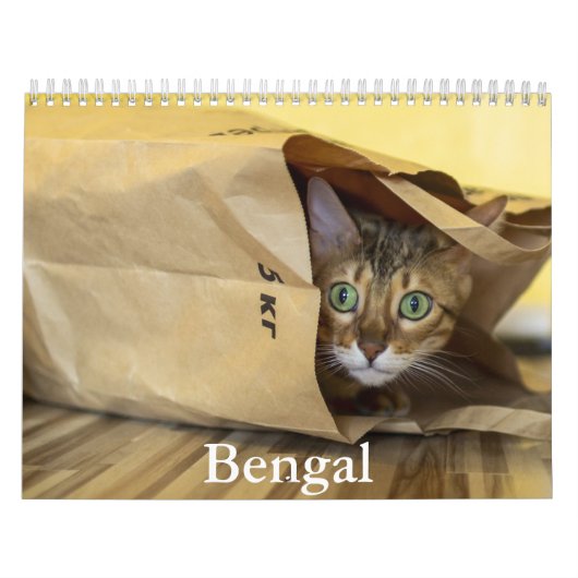 bengaalse kalender (Hoes)