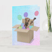 Bengaalse kat in doos verjaardag kaart (Voorkant)
