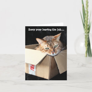 Bengaalse kat wenskaart "Sorry dat je weggaat..... Feestdagen Kaart
