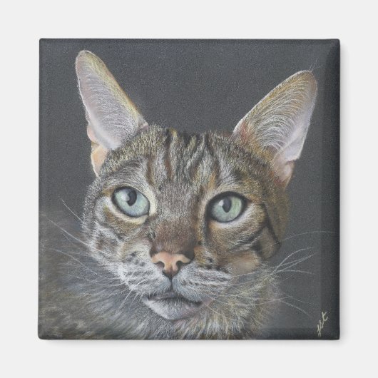 Bengal Cat magnet (Devant)