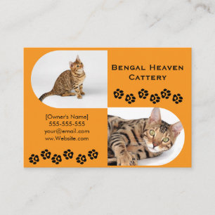 Bengal Fokkerij Bedrijfskaart Aangepaste foto Visitekaartje