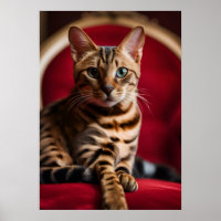 Bengal Kat Portret Fijne Kunst Poster — Koninklijk