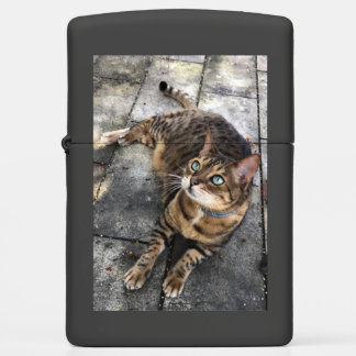 Bengal Kat Slapende Bengal