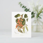 Bengal Kino Briefkaart (Staand voorkant)