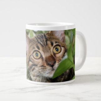 BENGAL KITTEN IN POTHOS EXTRA GROTE MOK
