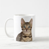 Bengal Kitten Mok (Links)