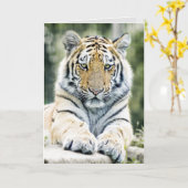 BENGAL TIGER ART ANNIVERSAIRE CARTES DE SALUT (Fleur jaune)
