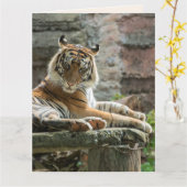 BENGAL TIGER BONJOUR PENSEZ À VOUS Carte de voeux (Fleur jaune)