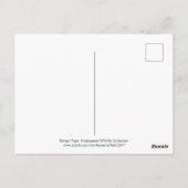 Bengal Tiger Briefkaart (Achterkant)