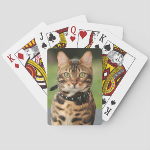 Bengal Tiger Cat Pokerkaarten