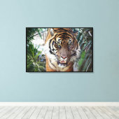 Bengal Tiger die je ziet lopen 2 Canvas Afdruk (Insitu (Houten vloer))