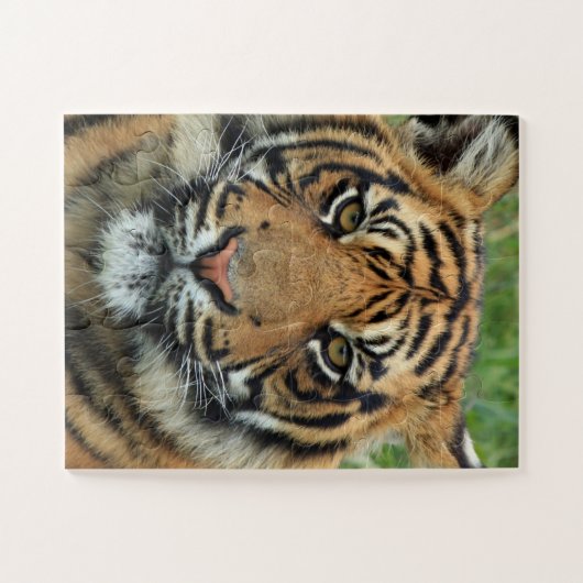 BENGAL TIGER JIGSAW PUZZLE (Horizontal)