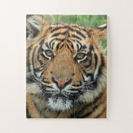 BENGAL TIGER JIGSAW PUZZLE LEGPUZZEL (Verticaal)