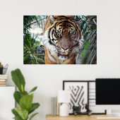 Bengal Tiger kijkt naar je poster 2 (Thuiskantoor)