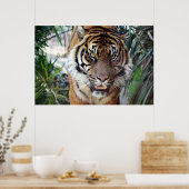 Bengal Tiger kijkt naar je poster 2 (Keuken)