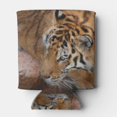 Bengal Tiger Koelbox Blikjeskoeler (Achterkant)