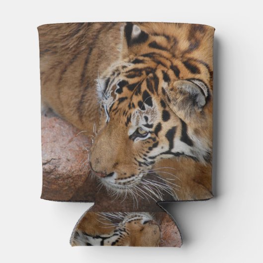 Bengal Tiger Koelbox Blikjeskoeler (Achterkant)