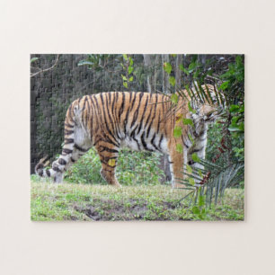 Bengal Tiger Puzzle Legpuzzel