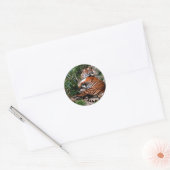 Bengal Tiger Ronde Sticker (Envelop)
