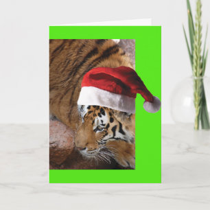 Bengal Tiger Santa Claus Kaart
