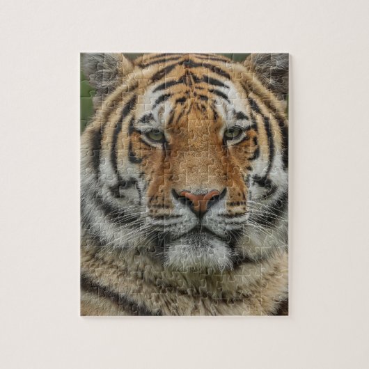 BENGAL TIJGER LEGPUZZEL (Verticaal)