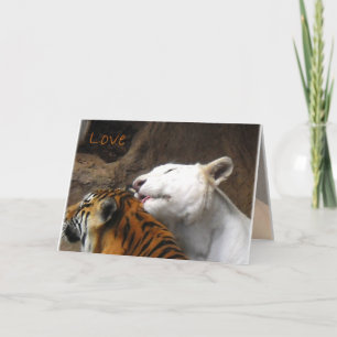 Bengal White Tiger Love Birthday Jubileum Any Kaart