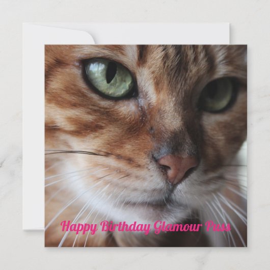Bengale Photo de chat Carte Anniversaire (Devant)